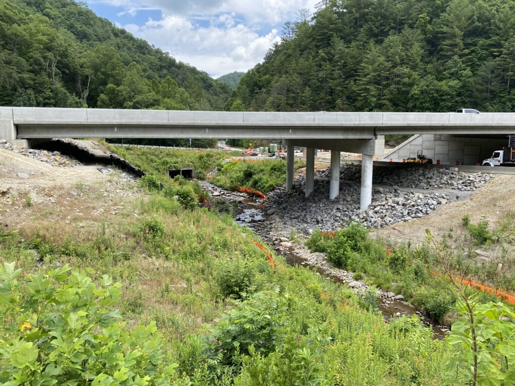 How wildlife bridges over highways make animals—and people—safer